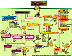 400px-mapa_conceptual.jpg