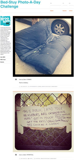 Bedford-Stuyvesant Photo-A-Day